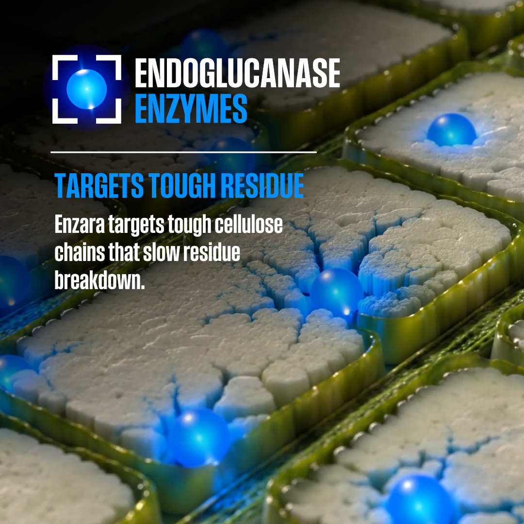 Illustration showing how Enzara's enzyme technology breaks down crop residue fibers for faster degradation