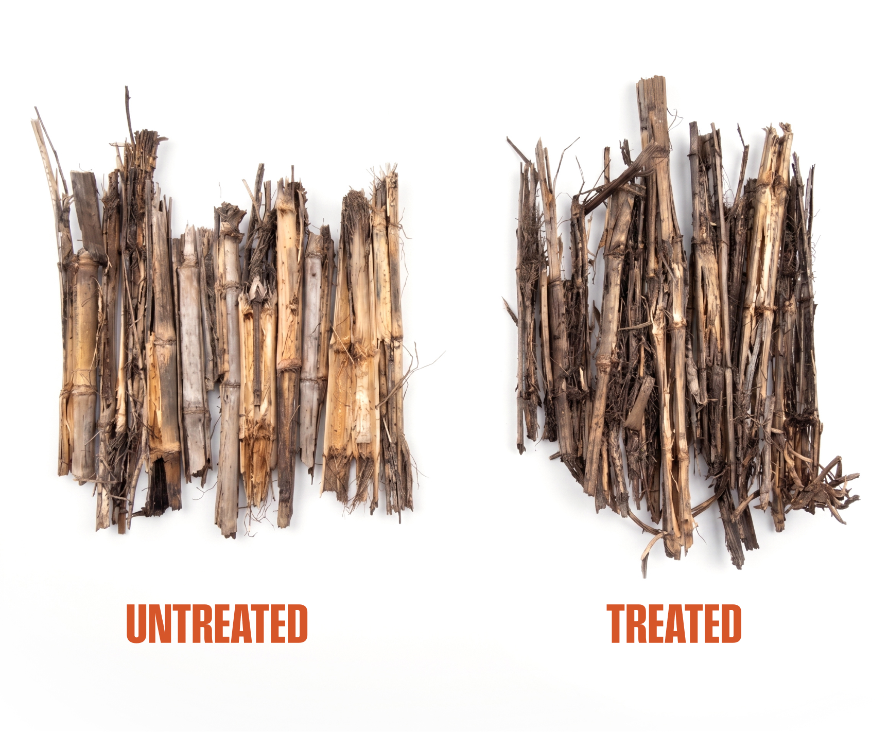 Side-by-side crop residue comparison: untreated field vs. Enzara-treated field
