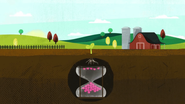 CropNutrition_Q3_Illo (1)