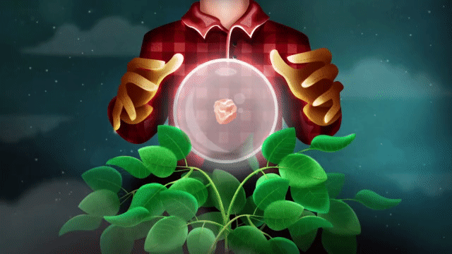 MacroMyths_HeroImage