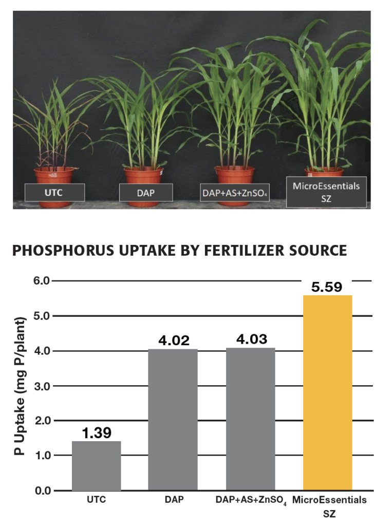 greenhouse trial_results_mes-sz-v-dap