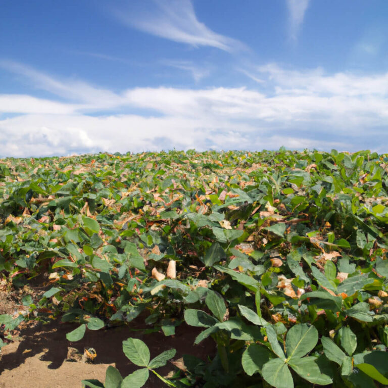17 Key Nutrients | Mosaic Crop Nutrition