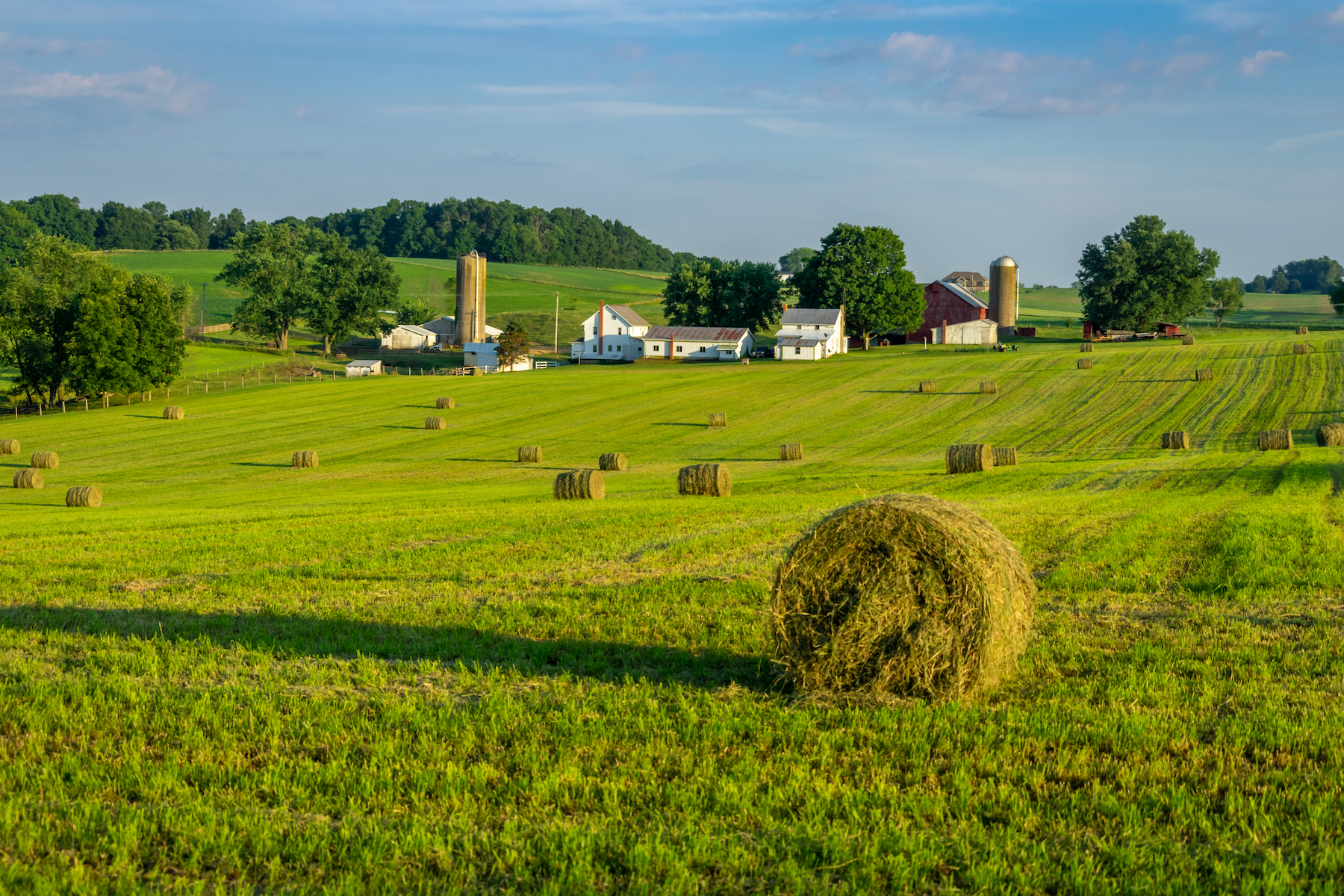 Round hay bales on slightly rolling hills in amish country. Farm and farm house in background.; Shutterstock ID 1807384735; purchase_order: -; job: -; client: -; other: -