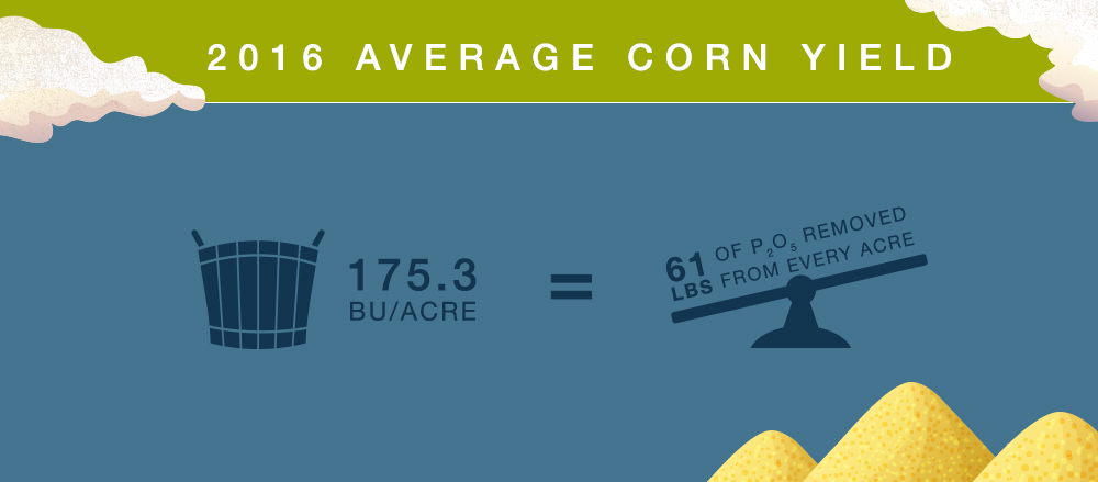 Average Corn Yield