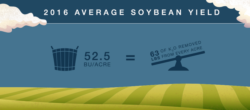 Average Soy Yield