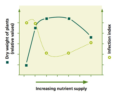 cropdisease-figure-1