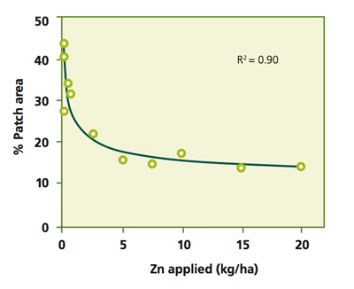 cropdisease-figure-2