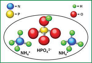 DAP Molecules