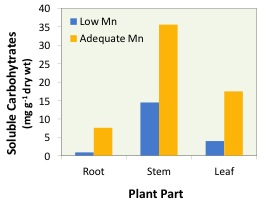 manganese graph