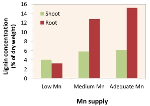 manganese graph-2