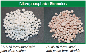 nitrophosphate-sidebyside