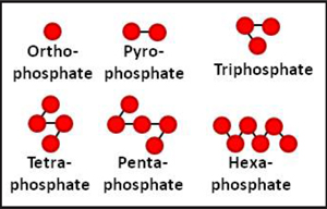 orthophosphate