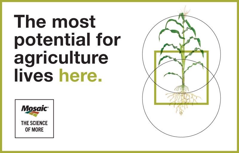 The most potential for agriculture lives here.