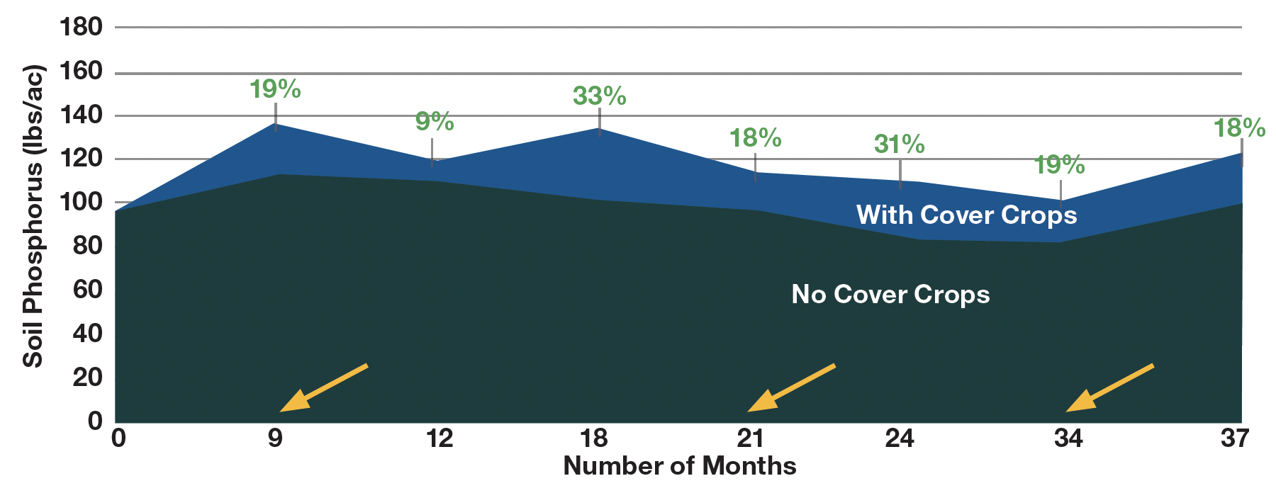 Cover Crops to Enhance Soil Phosphorus Availability