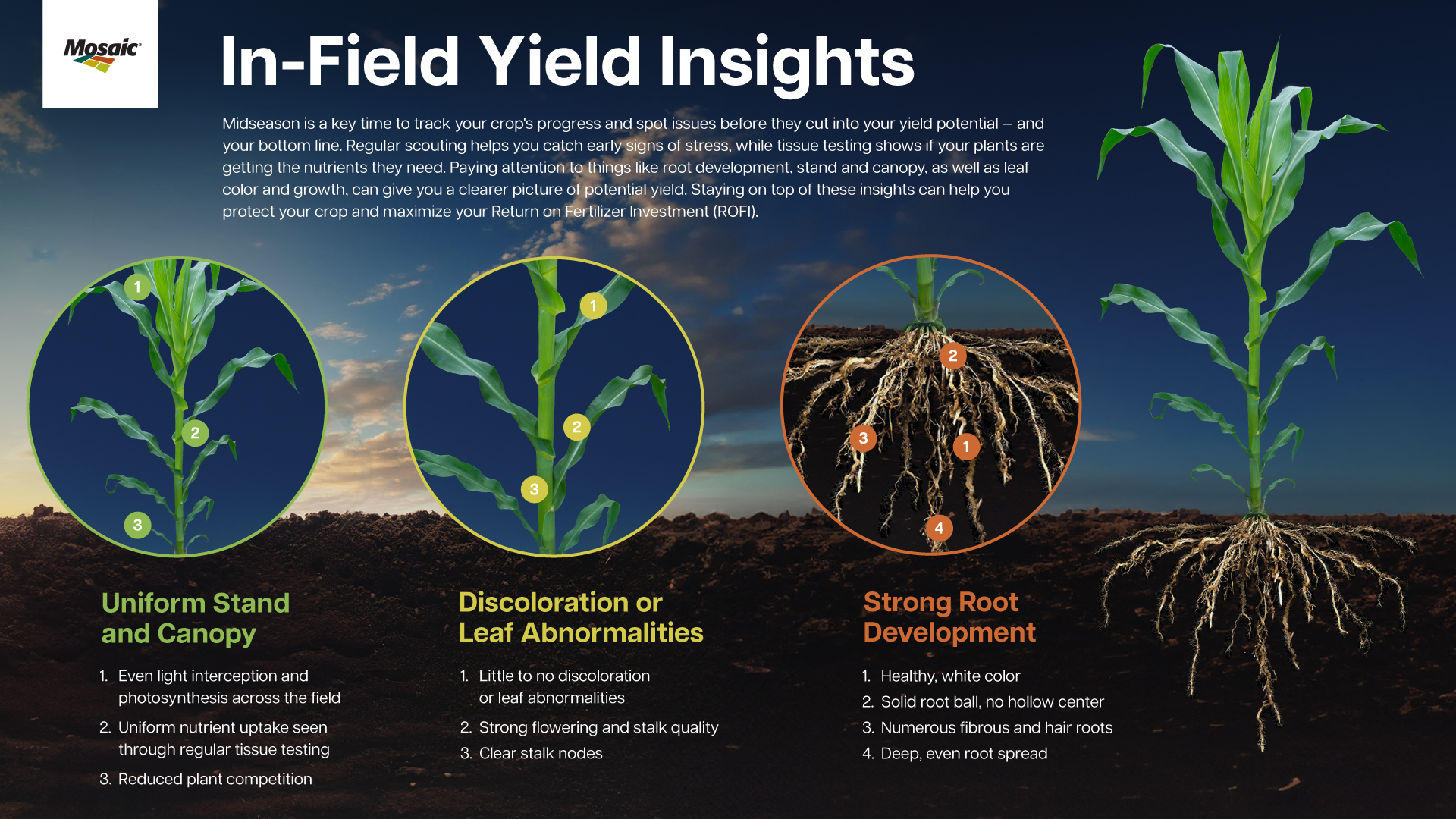 Yield Insights