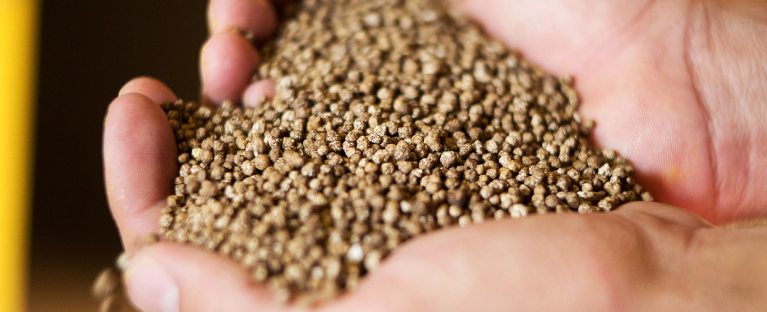 October_2025_EEF_Resize_Desktop_1080x440