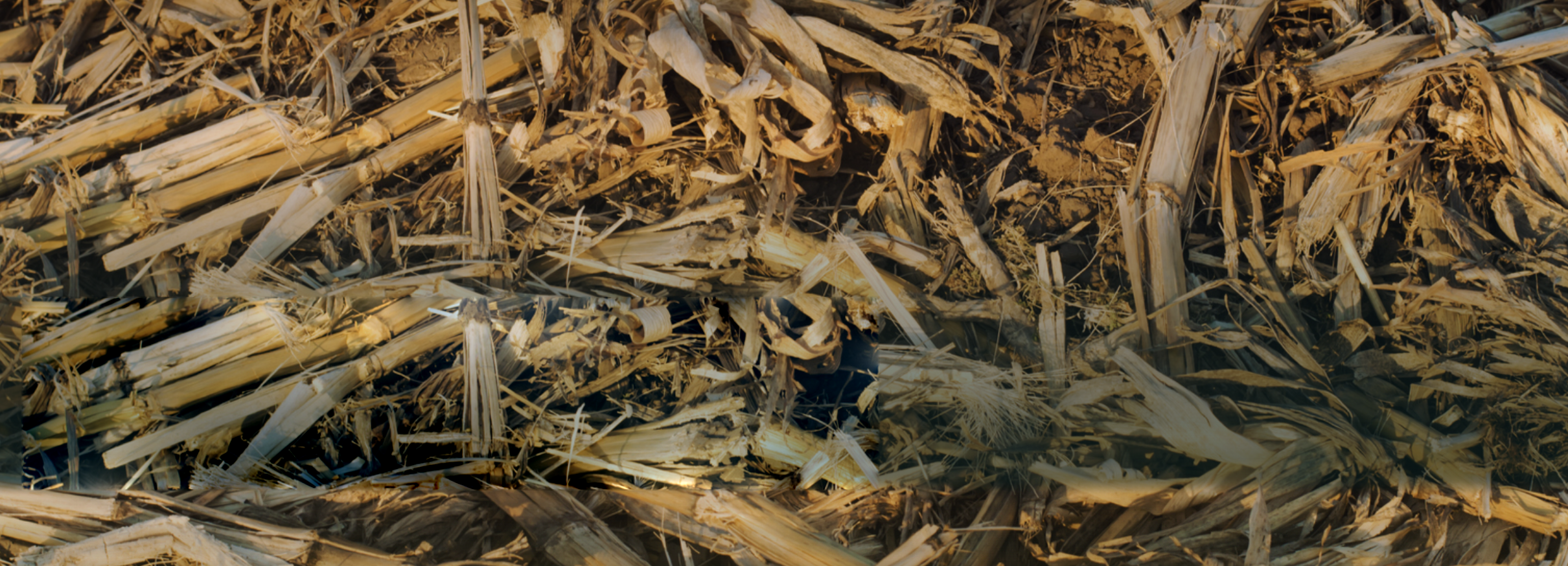 corn-residue-clean