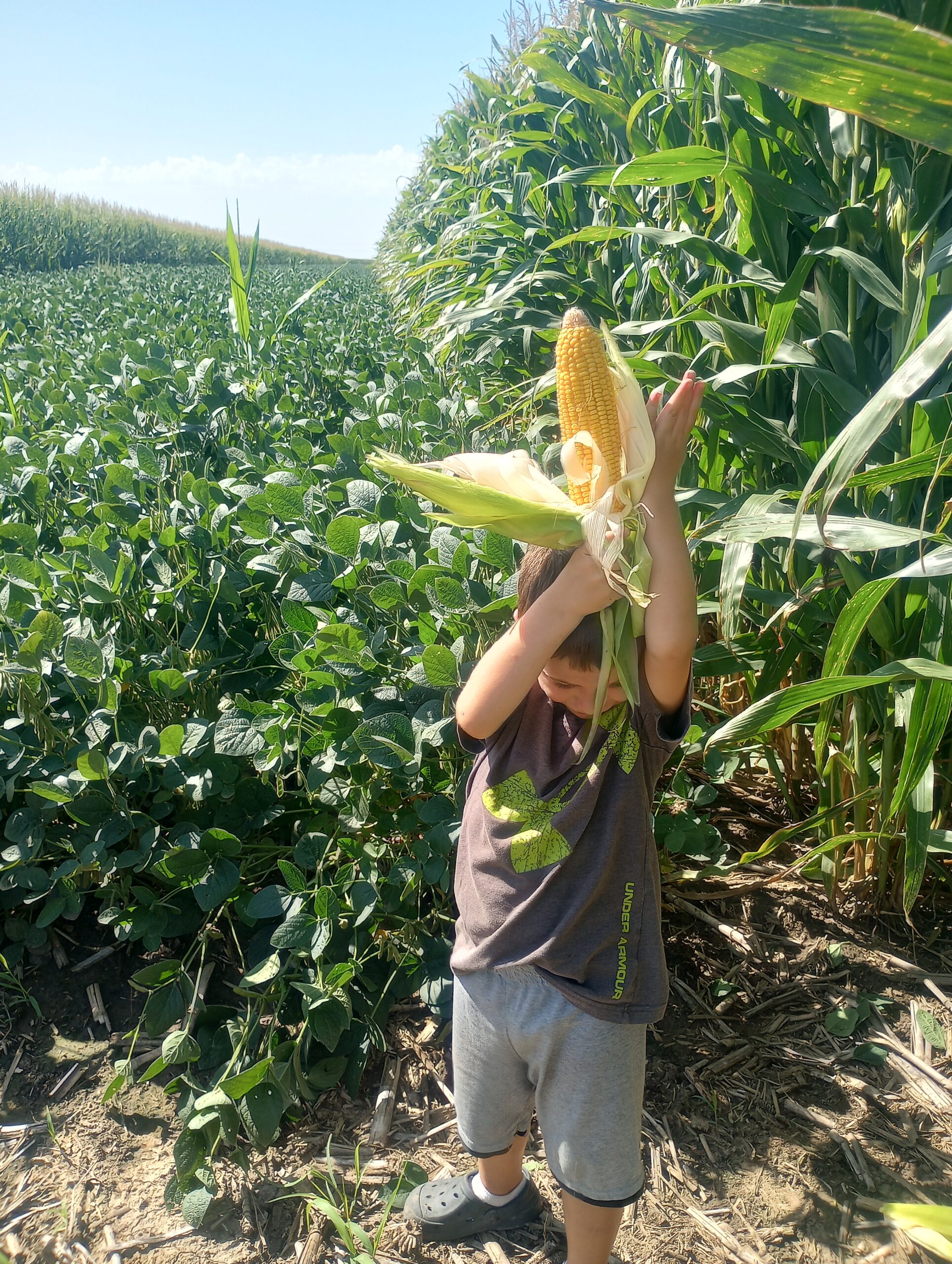 brian-fertilityprogram